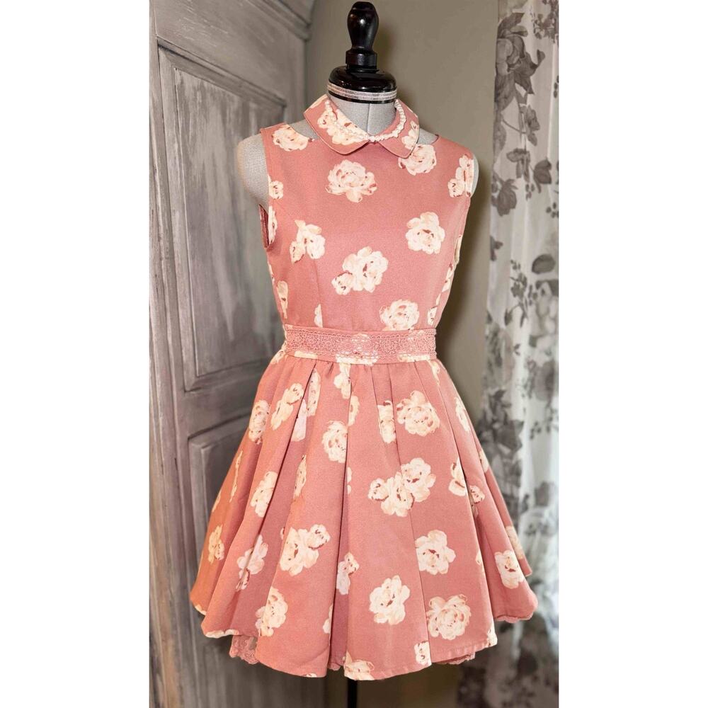 Liz Lisa Collared Floral Pink Dress Jfashion Gyaru Himekaji Coquette Autumn 2013 - Picture 12 of 16